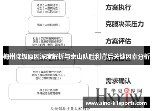梅州降级原因深度解析与泰山队胜利背后关键因素分析