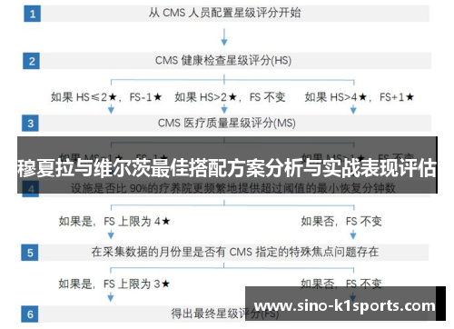 穆夏拉与维尔茨最佳搭配方案分析与实战表现评估